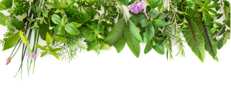 Antiviral herbs - Dr. Axe